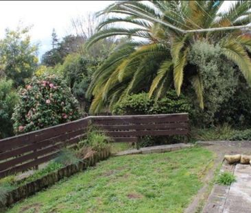 Cozy studio unit attached garage. - Photo 6