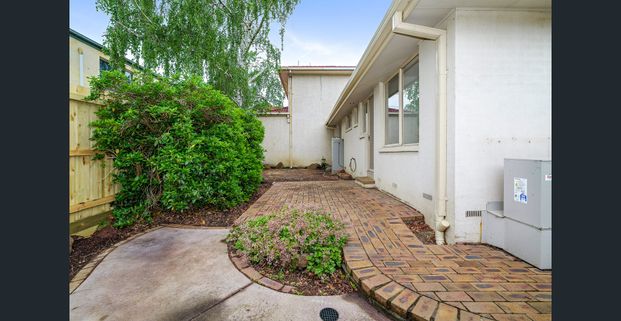 Freshly Updated with Private Rear Courtyard - Photo 1