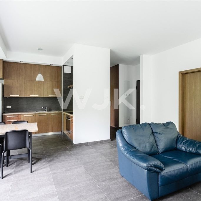 Warszawa, Śródmieście, Dynasy – zdjęcie 1