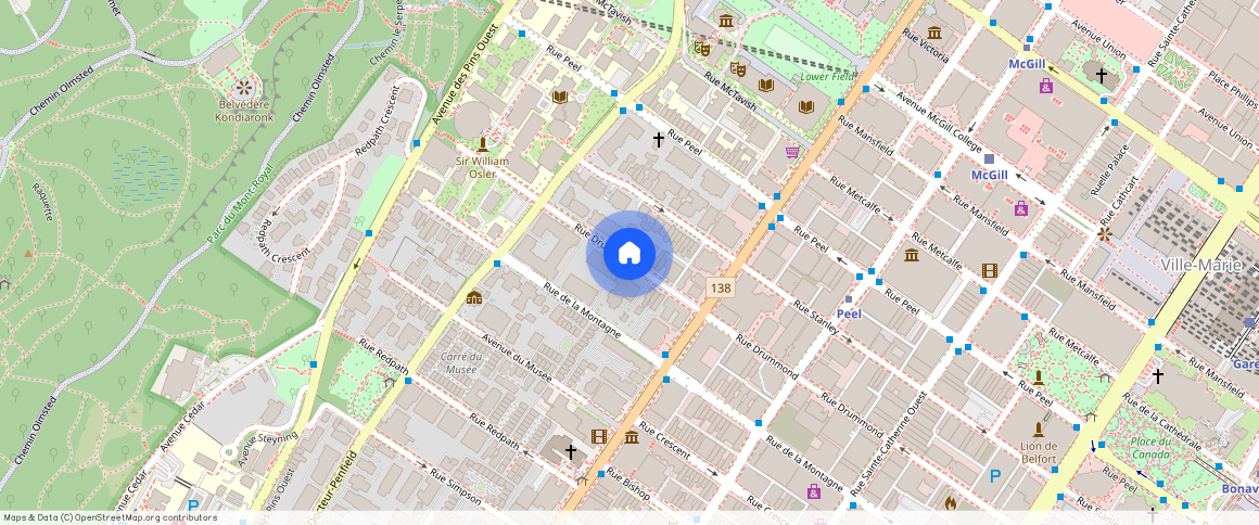 Ville-Marie, Ville-Marie, Ile de Montréal, H3G 1Y2