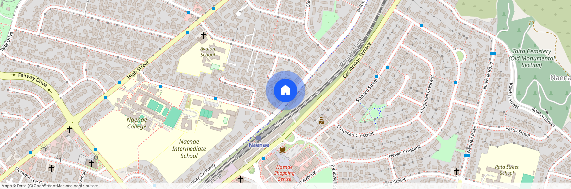 217 Oxford Terrace, Avalon, Lower Hutt City