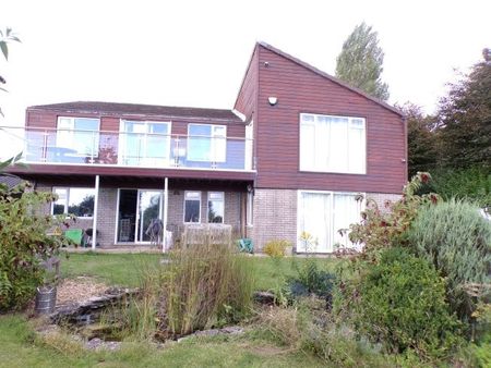 Frogham, New Forest. - Photo 4