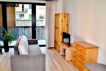 Pronájem bytu 1+kk v družstevním vlastnictví 38 m², Mladá Boleslav - Photo 4