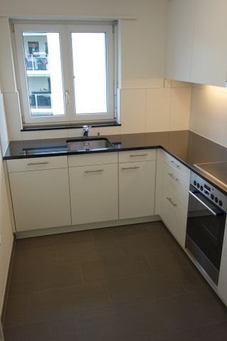 Schöne Wohnung mit Blick auf den See - Foto 2