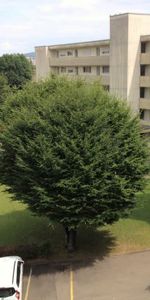 1 Zimmer, 39 m², EG - Photo 3