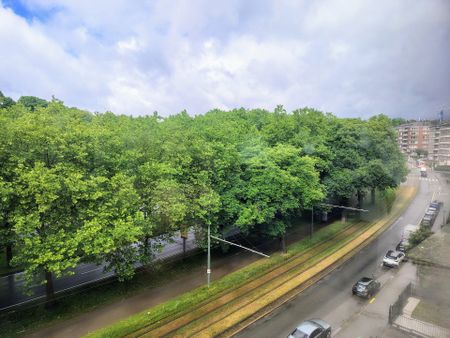 Avenue de Tervueren, 1150, Woluwe-Saint-Pierre - Photo 3