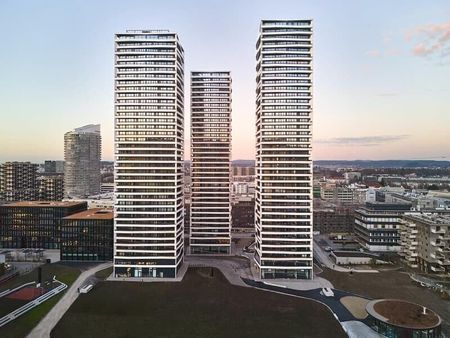 Modern and fully furnished 2.5-room apartment with balcony and panoramic view in Zurich - Photo 4