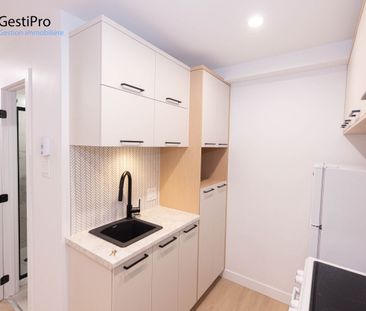 2995 St-Léandre - Photo 3