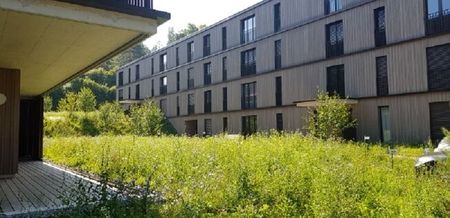 BEAUTIFUL LIFE RENT WITHOUT DEPOSIT - Photo 5