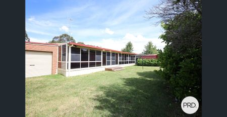 Comfortable and spacious entertainer in great location-available now - Photo 4