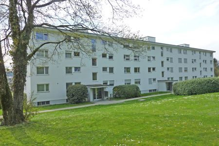 Herzige Singlewohnung in Zürich-Höngg - Foto 3