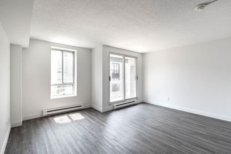 The St-Norbert Apartments - Bachelor - Photo 2