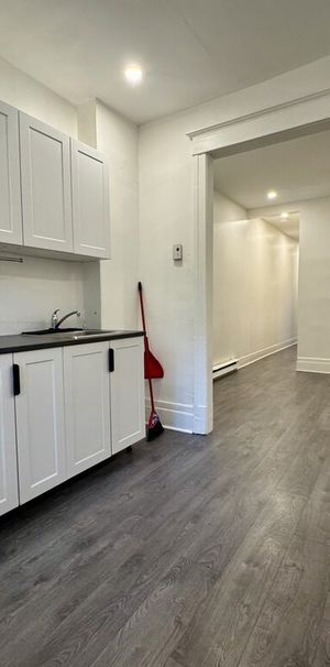 Mile-End - Superbe Grand 3 1/2 à Louer - Photo 1