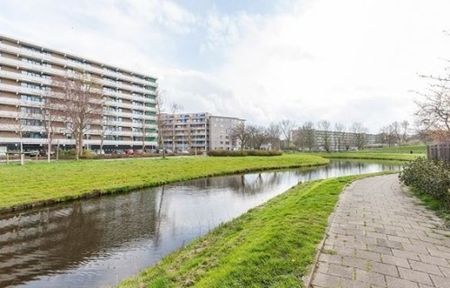 Cruquiuslaan 0ong, 2332 Leiden, Nederland - Photo 2