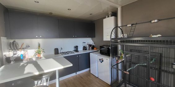 Location Appartement 2 pièces 33m² ST OMER 62500 - Photo 3