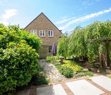 Rederijkerstraat - Photo 3