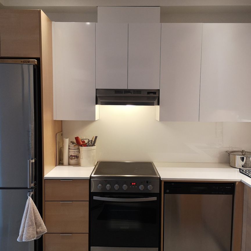 Condo for rent, Montréal (Le Plateau-Mont-Royal) - Photo 1