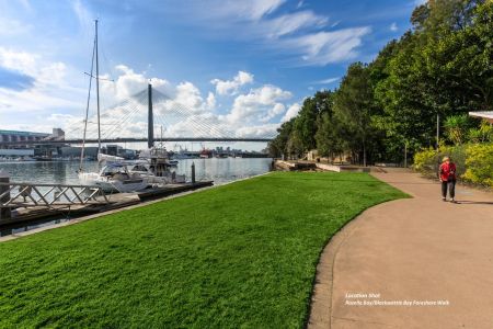 Ground floor dog friendly studio apartment with a view over Blackwattle Bay - Photo 5