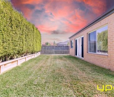 Affordable Family Living in Cranbourne West with Study - Photo 4