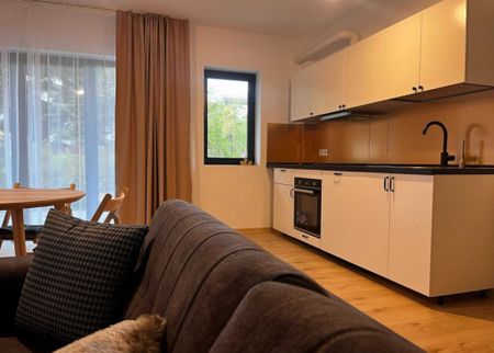 Apartament 2 Camere / Gradina / SPA / Parcare / Erou Iancu N - Fotografie 2