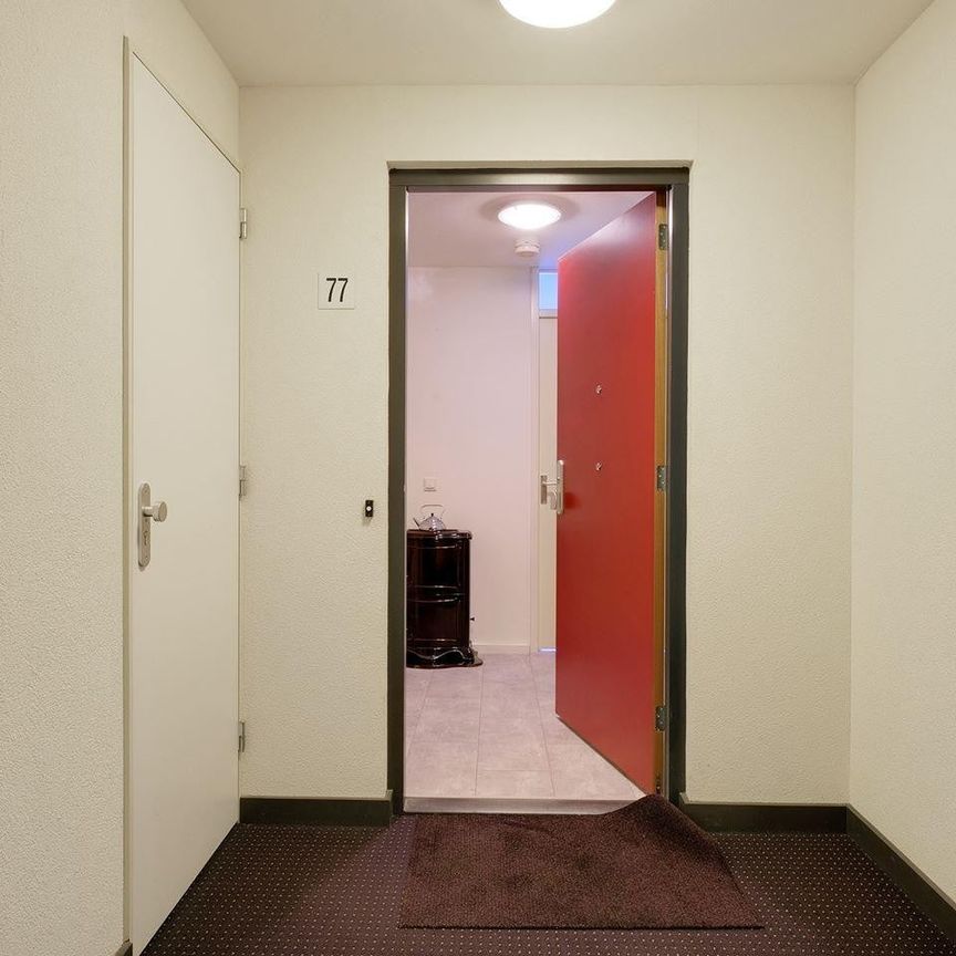 Te huur: Appartement St. Elisabethshof 77 in Arnhem - Foto 1