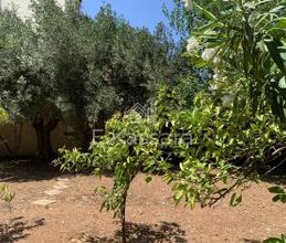 Μονοκατοικία για ενοικίαση - Νέα Μάκρη - Photo 3