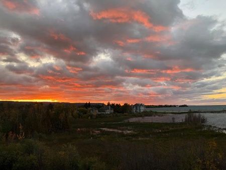 For Lease - 639 Johnston Park Avenue, Collingwood, Ontario - Photo 5