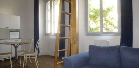 Location Appartement 1 pièce 28m² LE PUY EN VELAY 43000 - Photo 2