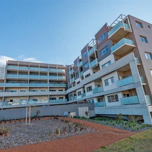 Modern one bedroom in Molonglo Valley - Photo 1