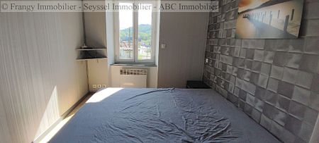 T2 meublé 42m² et caves à Frangy - Photo 3