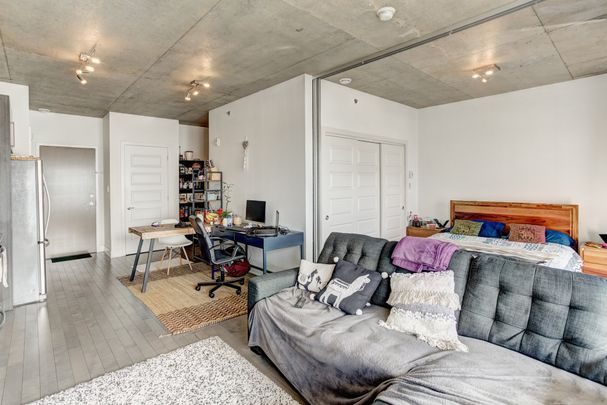 Condo for rent, Mont-Royal - Photo 1