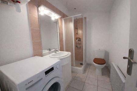 Location Appartement 2 pièces 21m² AMBERIEU EN BUGEY 01500 - Photo 5