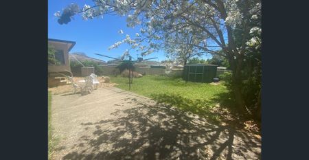 Furnished Four Bedroom Home Located in Hillvue - Photo 2