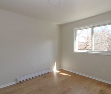 For Lease - 506 SHERBROOKE Street Unit# Main, Peterborough, Ontario - Photo 3
