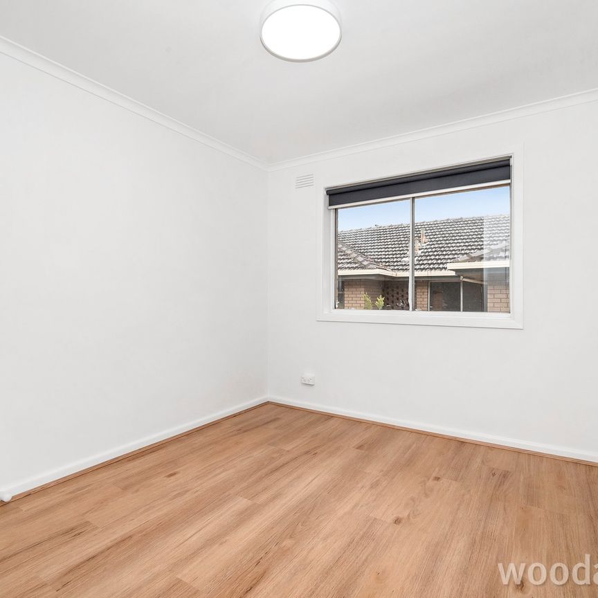 Fully Renovated Delight - UNIT 3 + 19 AVAILABLE - Photo 1