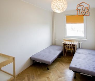 Gdańsk - Zdjęcie 2