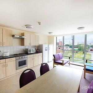 Room in a Shared Flat, George Kenyon Hall, M13 - Photo 2