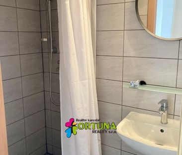 Pronájem bytu 2+kk 47 m², Dr. Stejskala, České Budějovice - Photo 2