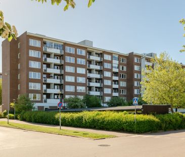 Ludvikagatan, Helsingborg - Foto 1