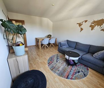 2 Zimmer, 50 m², 1. Stock - Foto 1