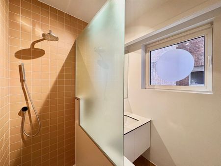 Ruim en verzorgd appartement met 1 slaapkamer in hartje Antwerpen - Foto 4