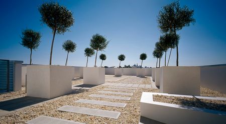 1 Ralph Street, Alexandria NSW 2015 - Apartment For Rent | Domain - Photo 3