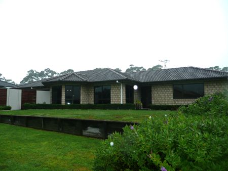 Lovely Family Home - Katikati - Photo 3