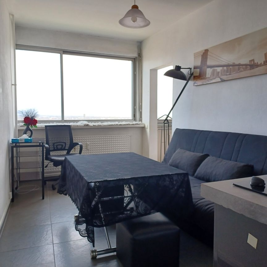 Location Appartement 2 pièces 23m² MULHOUSE 68100 - Photo 1