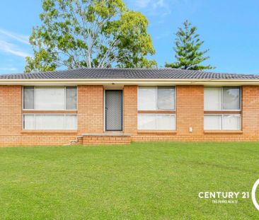 Charming Three Bedroom Home - Photo 1