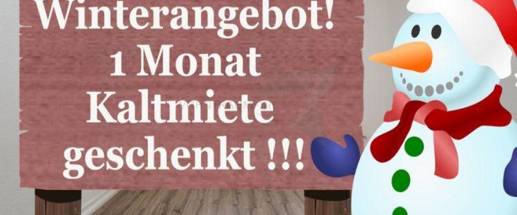 Winterangebot !!! Zur Kalten Jahreszeit eine Kaltmiete geschenkt !!! - Photo 1