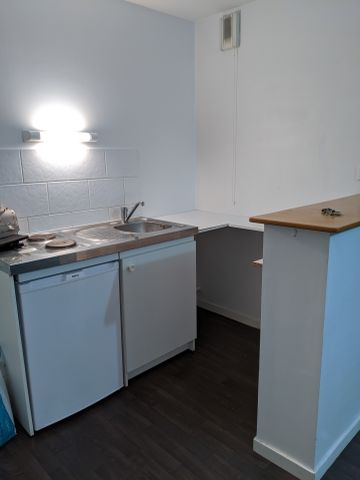 Location Appartement 1 pièce 28m² GUER 56380 - Photo 3