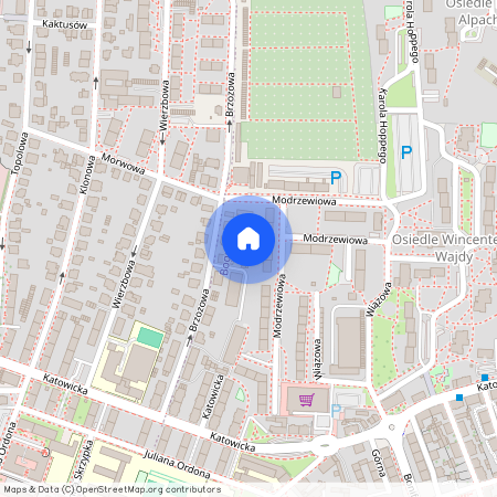 ul. Brzozowa 13a, Bogucice, Katowice, śląskie