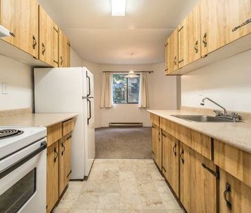 Quadra Woods - 1 Bedroom - Available February 1st - Photo 2