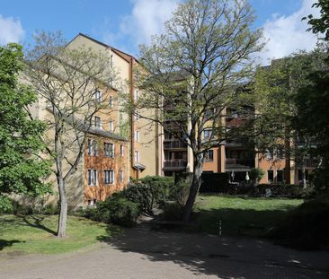 Großzügige 3-Zimmer-Wohnung mit Loggia & Essbereich // 3.OG rechts - Photo 5